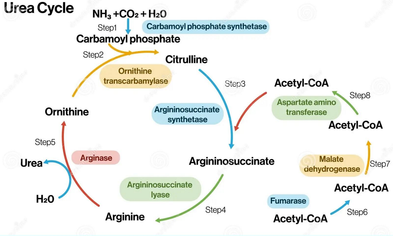 Pasted image 20260114223310.png