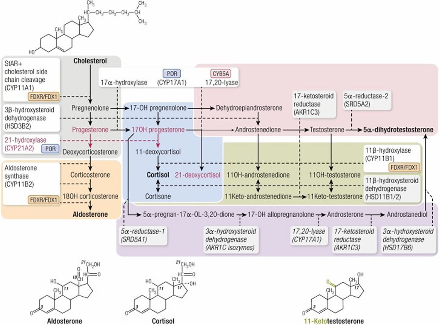 Pasted image 20260313202058.png