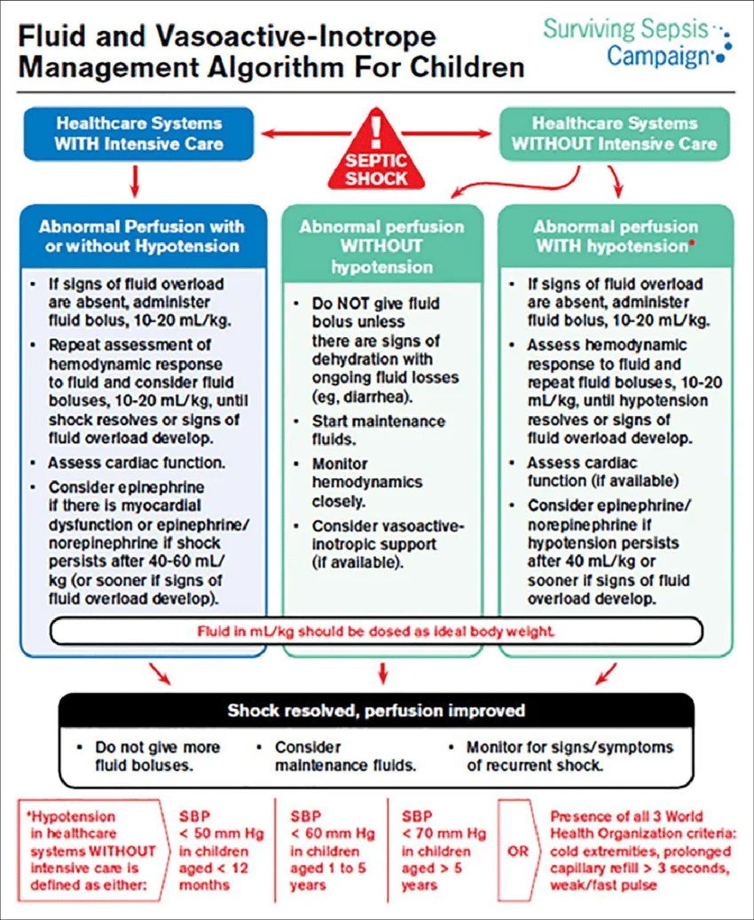 Pasted image 20260324220027.png