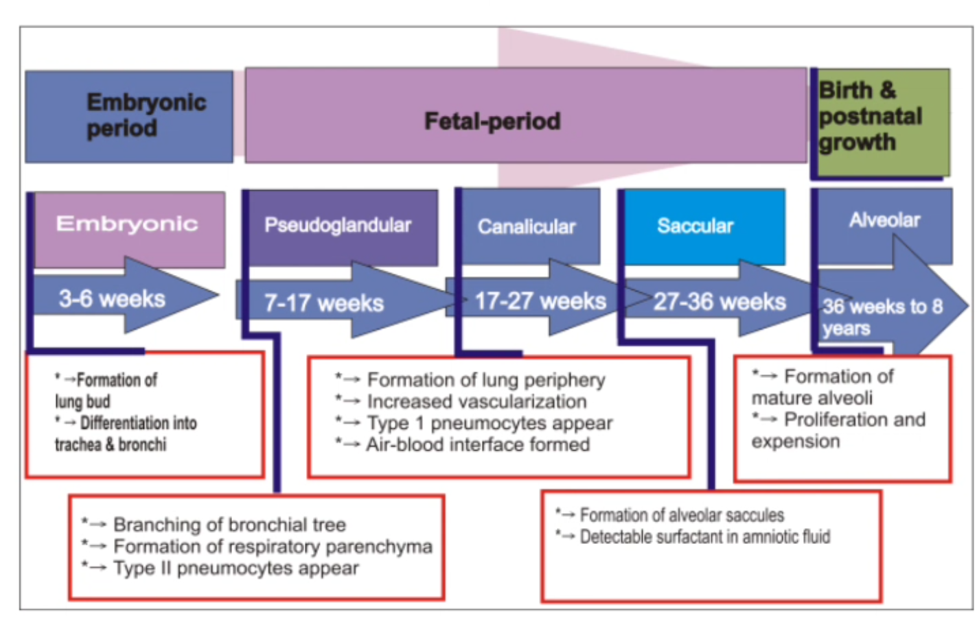 Pasted image 20260328181243.png