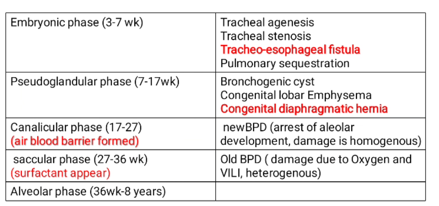 Pasted image 20260328181452.png