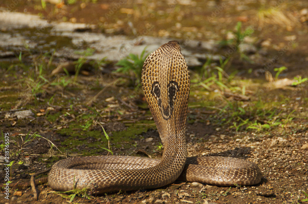 Pasted image 20260402135814.png