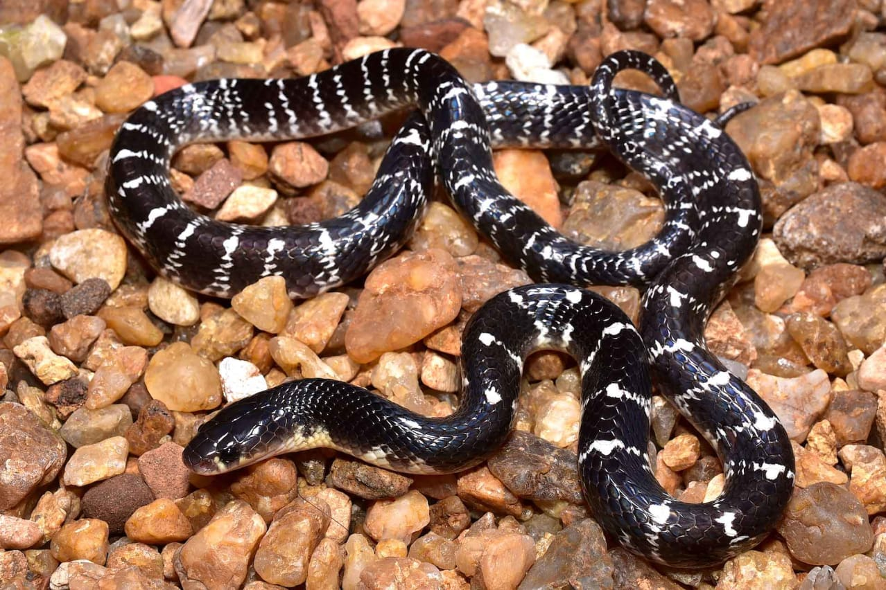 Pasted image 20260402135851.png