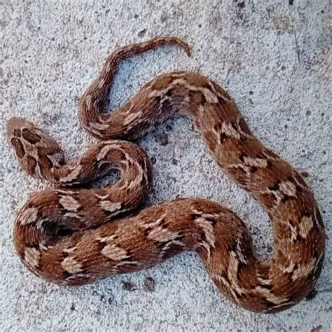 Pasted image 20260402140124.png